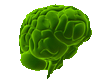 brain