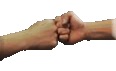 knock fists